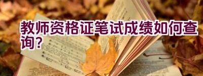 教师资格证笔试成绩如何查询？