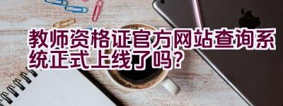 教师资格证官方网站查询系统正式上线了吗？