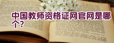 中国教师资格证网官网是哪个？