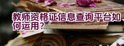 教师资格证信息查询平台如何运用？