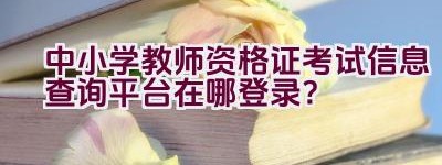 中小学教师资格证考试信息查询平台在哪登录？