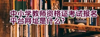 中小学教师资格证考试报名平台网址是什么？