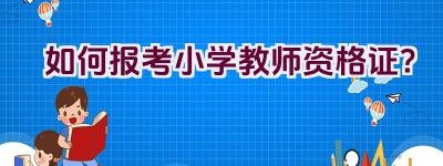 如何报考小学教师资格证？