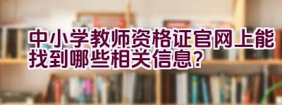 中小学教师资格证官网上能找到哪些相关信息？