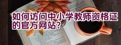 如何访问中小学教师资格证的官方网站？