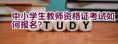 中小学生教师资格证考试如何报名？