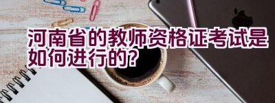 河南省的教师资格证考试是如何进行的？