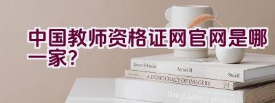 中国教师资格证网官网是哪一家？