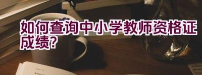 如何查询中小学教师资格证成绩？