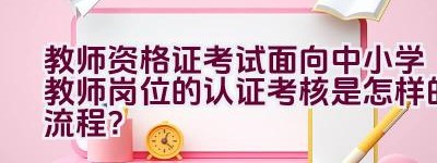 教师资格证考试面向中小学教师岗位的认证考核是怎样的流程？