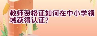 教师资格证如何在中小学领域获得认证？