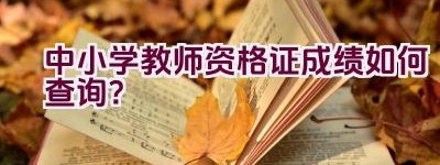 中小学教师资格证成绩如何查询？