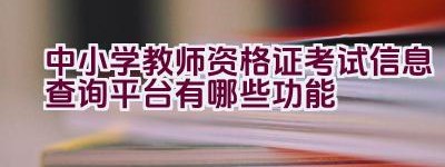 中小学教师资格证考试信息查询平台有哪些功能