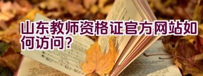 山东教师资格证官方网站如何访问？