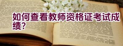 如何查看教师资格证考试成绩？