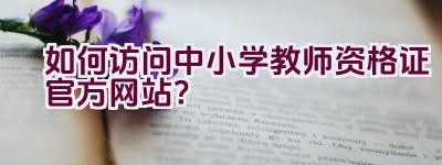 如何访问中小学教师资格证官方网站？