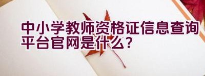 中小学教师资格证信息查询平台官网是什么？