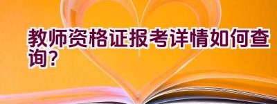 教师资格证报考详情如何查询？