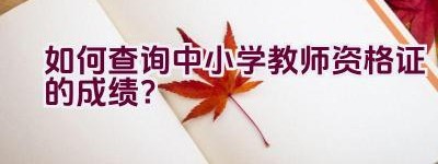 如何查询中小学教师资格证的成绩？