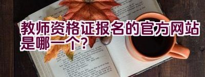 教师资格证报名的官方网站是哪一个？