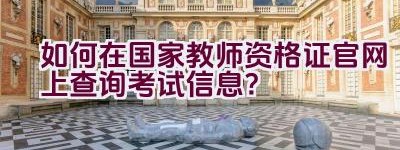 如何在国家教师资格证官网上查询考试信息？