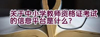 关于中小学教师资格证考试的信息平台是什么？