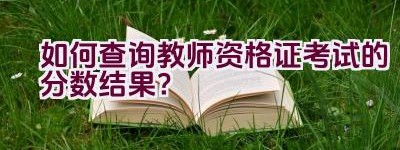 如何查询教师资格证考试的分数结果？