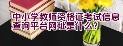 中小学教师资格证考试信息查询平台网址是什么？