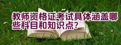 教师资格证考试具体涵盖哪些科目和知识点？