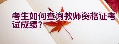 考生如何查询教师资格证考试成绩？