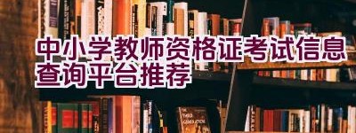 中小学教师资格证考试信息查询平台推荐