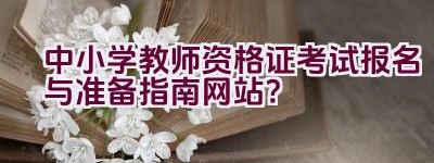 中小学教师资格证考试报名与准备指南网站？