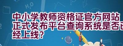 中小学教师资格证官方网站正式发布平台查询系统是否已经上线？