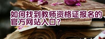 如何找到教师资格证报名的官方网站入口？