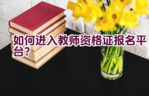 如何进入教师资格证报名平台？