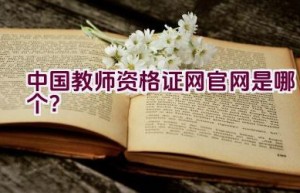 中国教师资格证网官网是哪个？