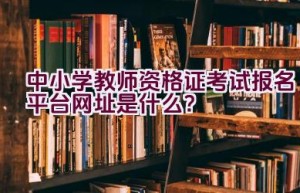 中小学教师资格证考试报名平台网址是什么？