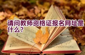 请问教师资格证报名网址是什么？