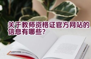 关于教师资格证官方网站的信息有哪些？