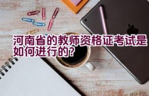 河南省的教师资格证考试是如何进行的？