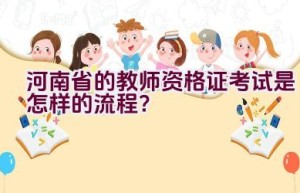 河南省的教师资格证考试是怎样的流程？