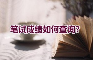 笔试成绩如何查询？