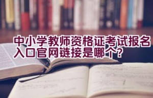 中小学教师资格证考试报名入口官网链接是哪个？