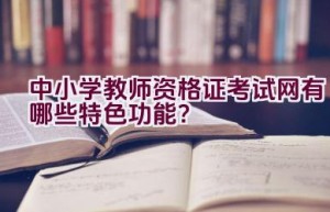 中小学教师资格证考试网有哪些特色功能？