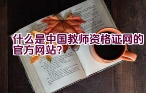 什么是中国教师资格证网的官方网站？