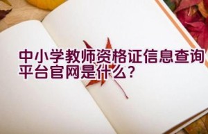 中小学教师资格证信息查询平台官网是什么？