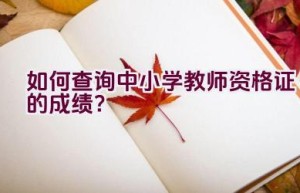 如何查询中小学教师资格证的成绩？