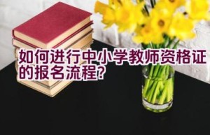 如何进行中小学教师资格证的报名流程？