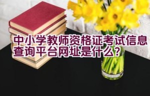 中小学教师资格证考试信息查询平台网址是什么？