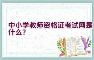 中小学教师资格证考试网是什么？